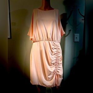 EXPRESS Women's Dress CORAL Size L PETITE